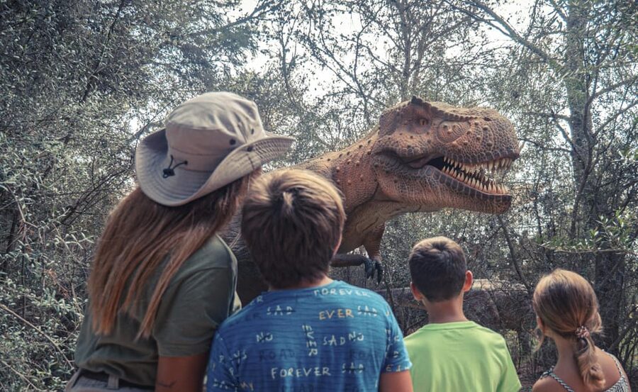 From Alcúdia: Dinosaurland and Hams' Caves Half-Day Trip - Practical tips so the half-day feels smooth