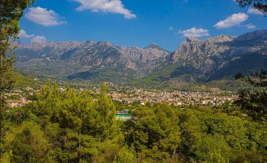 From Alcúdia: Soller Train and Tram Half Day Tour - Sóller Free Time: Orange Ice Cream, Church Stops, and the Town Square You Can Walk