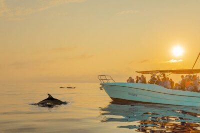 Sunrise Dolphin Watching Boat Tour