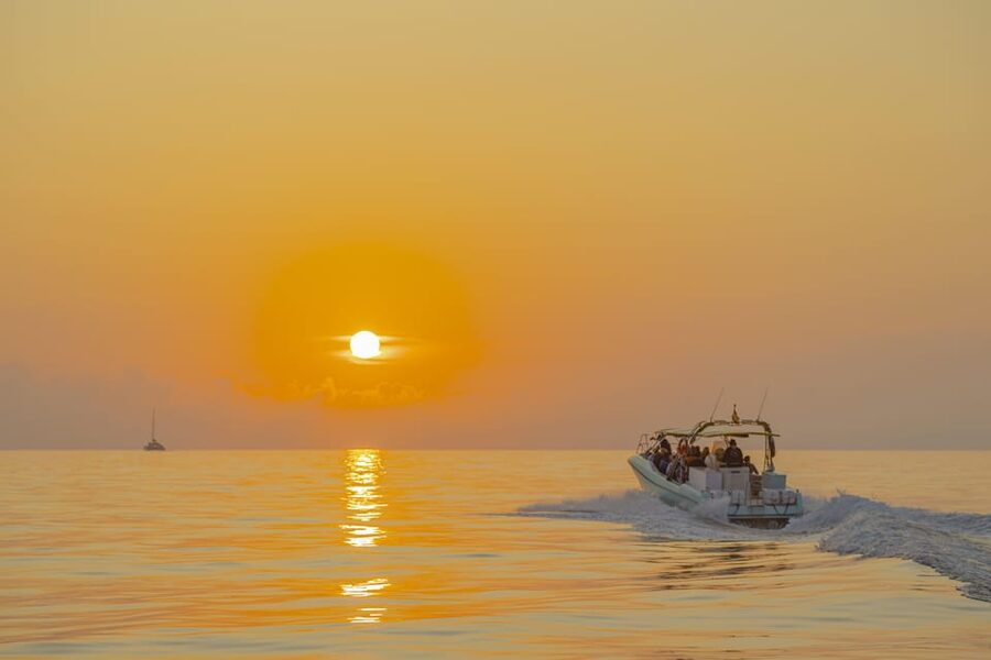 From Alcudia: Sunrise Dolphin Watching Boat Tour - Photo stop time and dolphin moment logistics