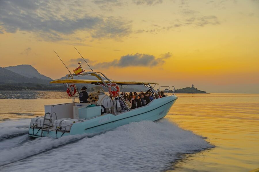 From Alcudia: Sunrise Dolphin Watching Boat Tour - What to bring and what you cannot bring