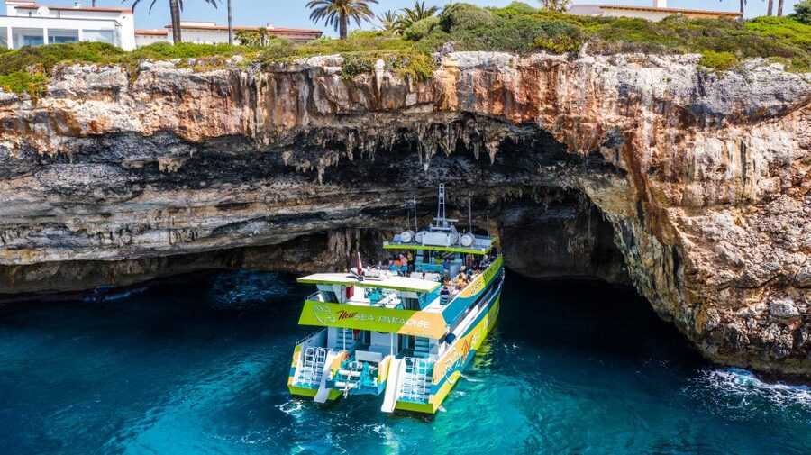 From Cala Bona: East Coast Glass-Bottom Boat Trip - What you can see through the glass bottom