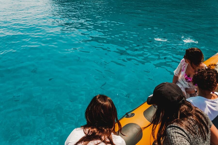 From Can Picafort: Dolphin Watching and Cave Boat Trip - Can Picafort Departure and The North Coast Views That Set the Tone