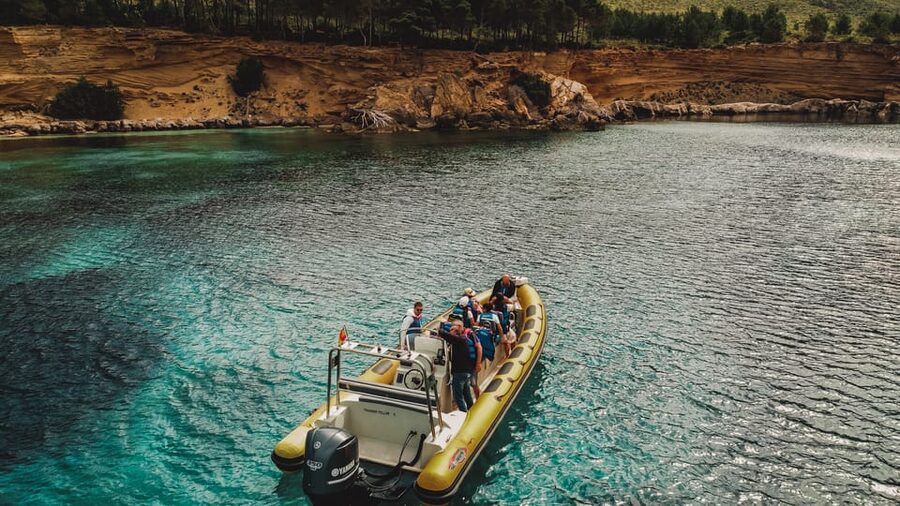 From Can Picafort: Dolphin Watching and Cave Boat Trip - The Ride Feels Fast, So Choose Your Comfort Level