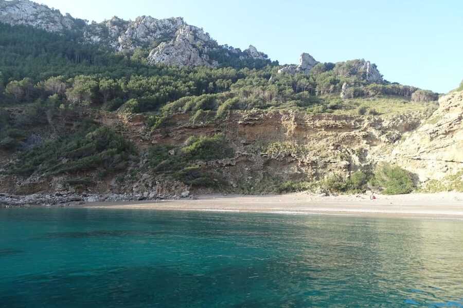 From Can Picafort: Dolphin Watching and Cave Boat Trip - Dolphin Watching on a Speedboat Built for Getting Close