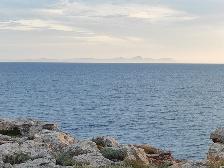 From Mallorca: Guided Day Trip to Menorca - Maó Old Town: Guided Walking Tour Plus Two Hours to Do Your Own Thing