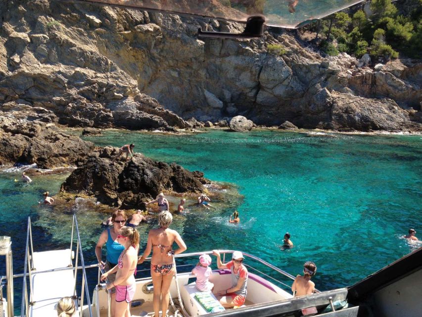 From Palma: 3-Hour Morning Dolphin Watching Boat Tour - Setting Off From Palma: What This Dolphin Tour Really Is