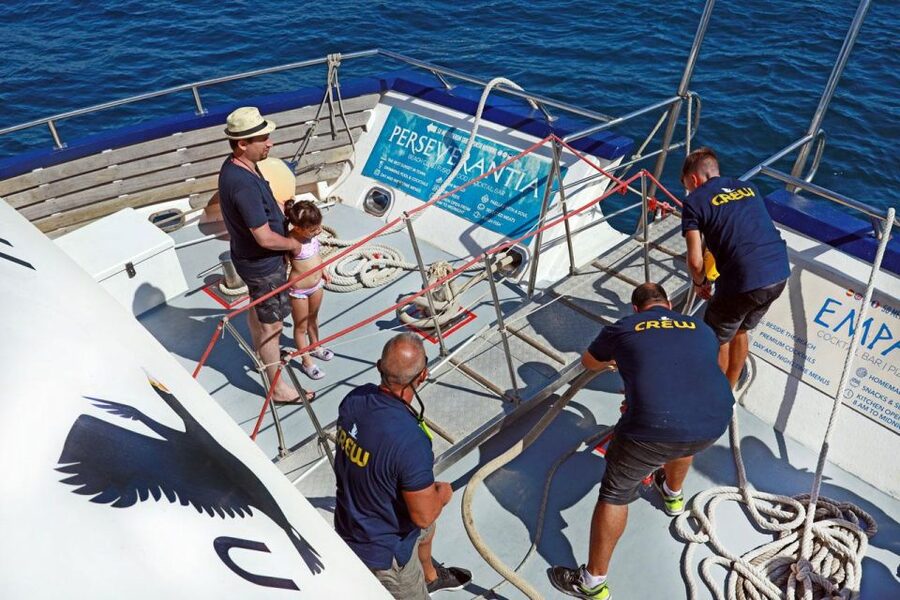 From Palma: 3-Hour Morning Dolphin Watching Boat Tour - Practical Tips So You Enjoy Every Minute