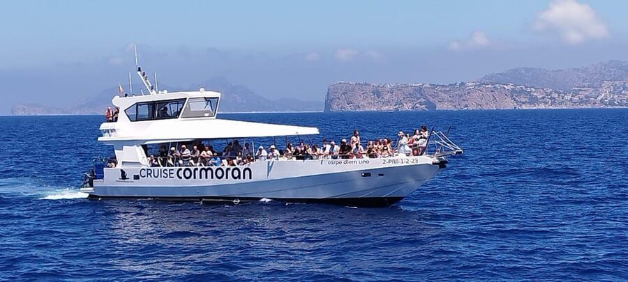 From Palma: Afternoon Dolphin-Watching Boat Tour - Key points before you go
