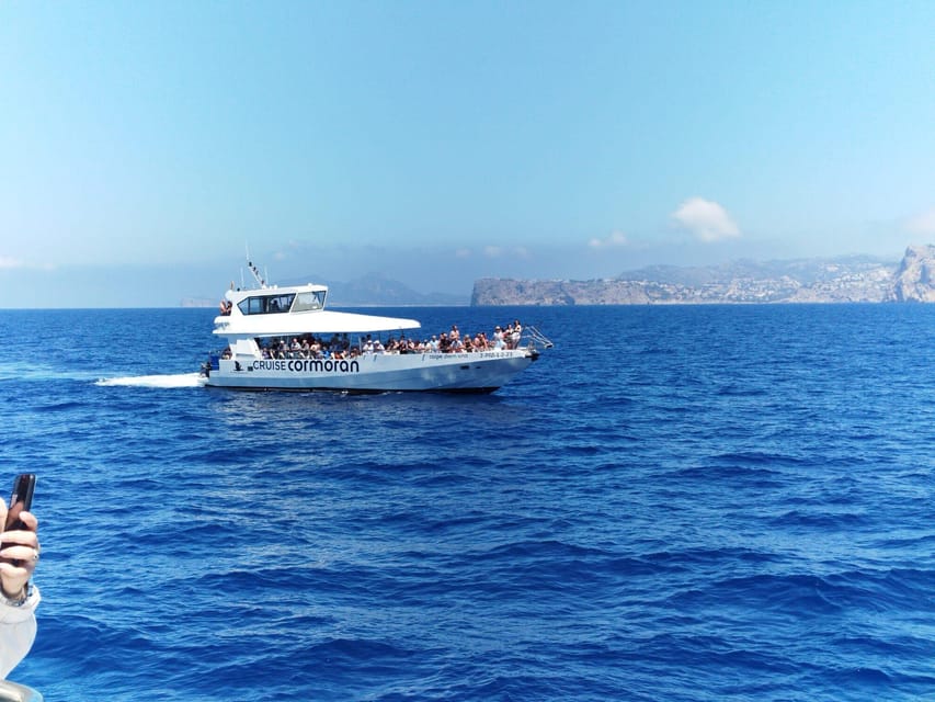 From Palma: Afternoon Dolphin-Watching Boat Tour - Should you book this Palma dolphin-watching tour?