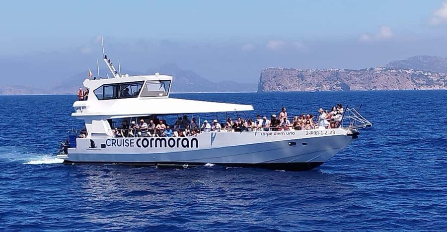 From Palma: Afternoon Dolphin-Watching Boat Tour - A speedboat afternoon chase for dolphins in Palma Bay