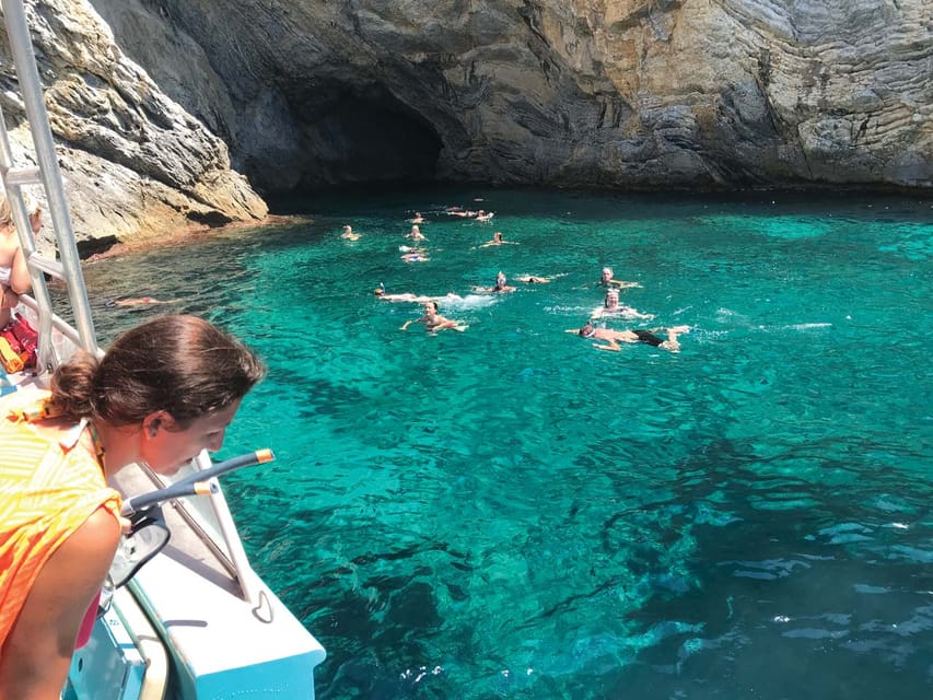 From Palma: Afternoon Dolphin-Watching Boat Tour - Dolphin spotting rules: what you can expect when you’re searching