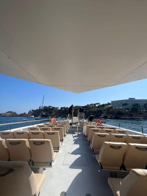 From Palma: Afternoon Dolphin-Watching Boat Tour - Price and value: what $63 gets you, and what costs extra