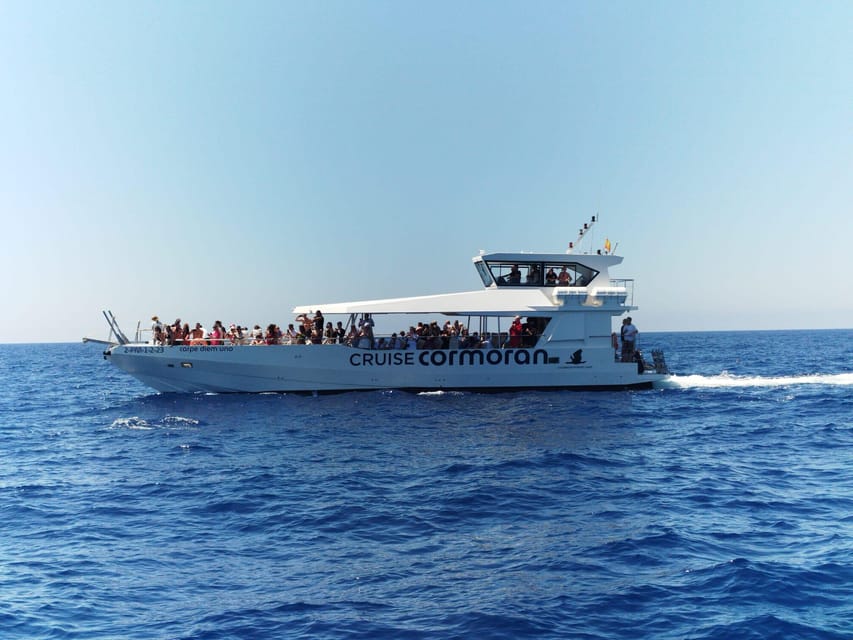 From Palma: Afternoon Dolphin-Watching Boat Tour - The 3-hour loop: Palma to open sea, then Santa Ponsa