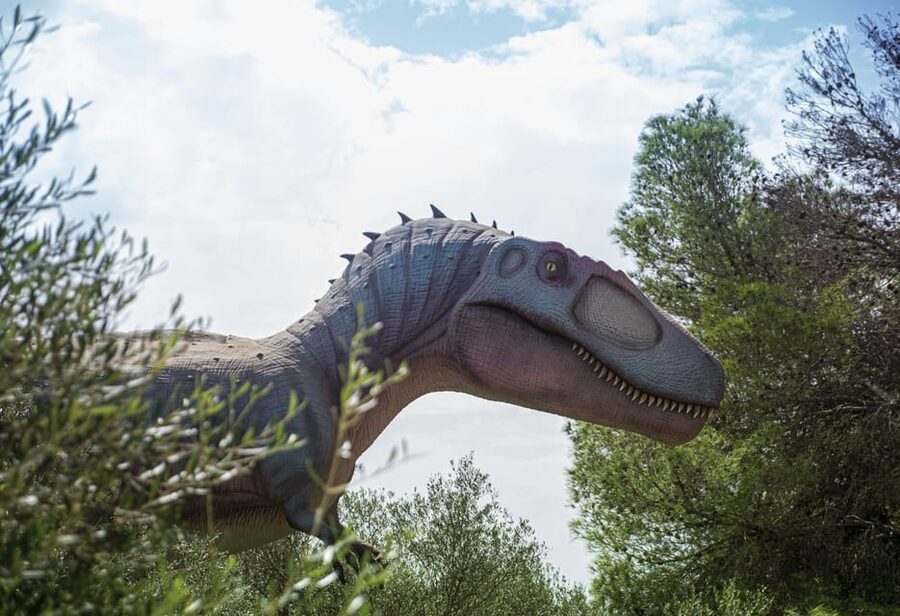 From Palma de Mallorca: Dinosaurland tour - Who should book Dinosaur Land Mallorca