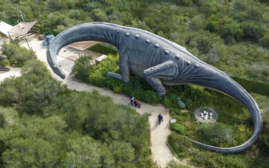 From Palma de Mallorca: Dinosaurland tour - From Palma area to Camí de l’Escullera: the easy start