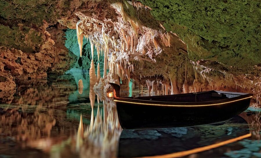 From Palma de Mallorca: Dinosaurland tour - The adult payoff: learning without feeling like school