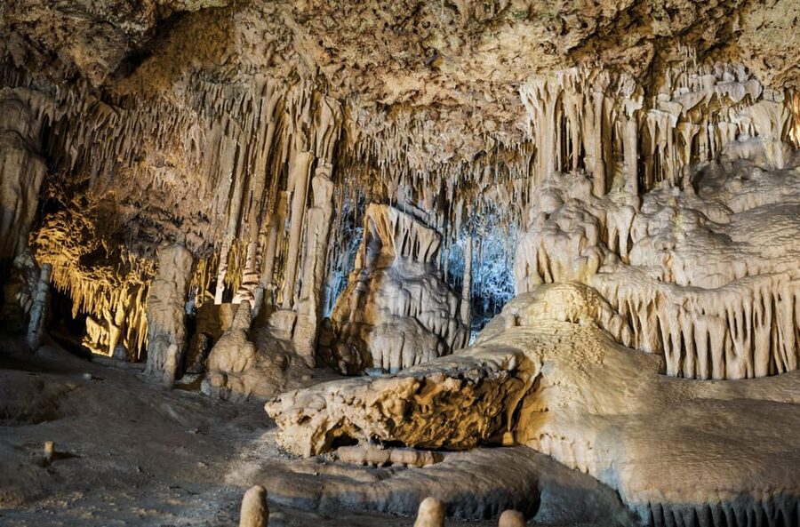 From Palma de Mallorca: Dinosaurland tour - Returning to Palma: one coach ride, then you’re done