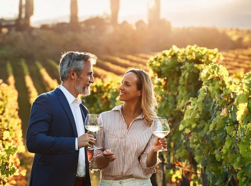 From Palma de Mallorca: Private Wine and Local Flavors Tour - Key highlights you will care about
