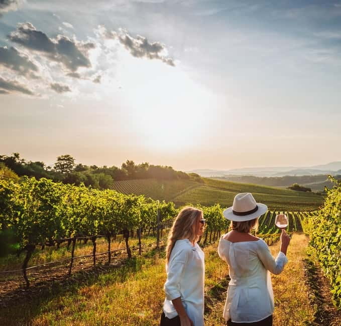 From Palma de Mallorca: Private Wine and Local Flavors Tour - The winery visit: vineyards, old-school methods, and modern production