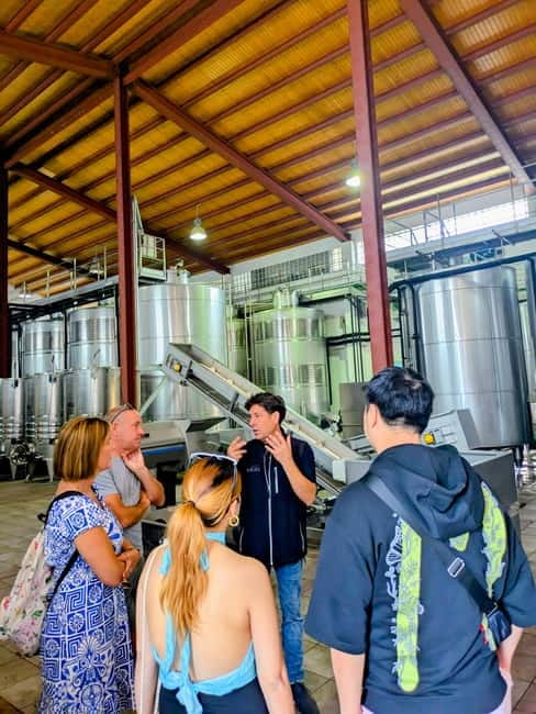 From Palma de Mallorca: Private Wine and Local Flavors Tour - Should you book the Palma private wine and local flavors tour?