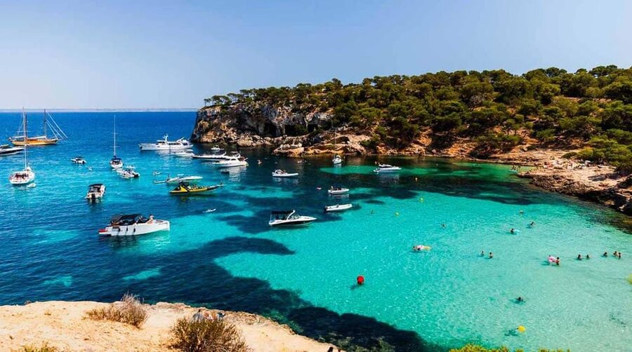 From Palma: Portal Vells Beach and Cave SUP & Snorkel Tour - Playa de Portals Vells: 3 hours that actually include gear time