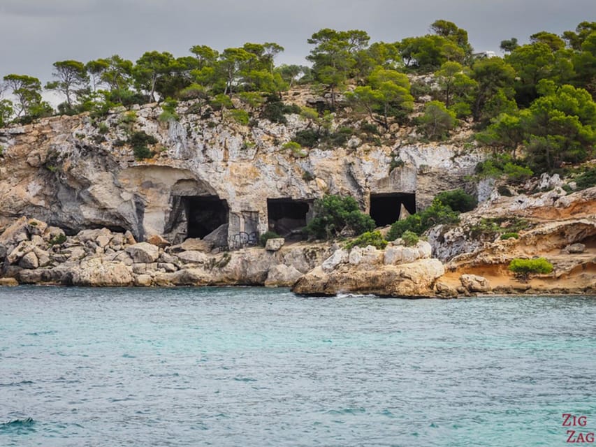 From Palma: Portal Vells Beach and Cave SUP & Snorkel Tour - Who should book this Portal Vells SUP and snorkeling day