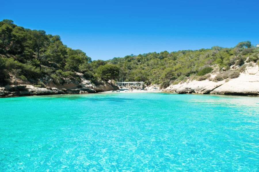 From Palma: Portal Vells Beach and Cave SUP & Snorkel Tour - From Palma pickup to a smooth day on the water