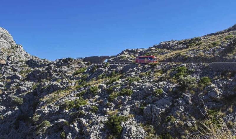 From Palma: Serra Tramuntana and Lluc Monastery Guided Tour - Puerto de Sóller by Tram, Then the Soller Train: The Most Fun Way Back