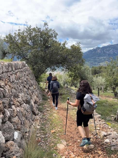 From Palma: Sierra de Tramuntana Hiking with small Picnic - Key highlights worth latching onto