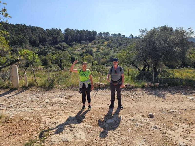 From Palma: Sierra de Tramuntana Hiking with small Picnic - Booking decision: should you do this Sierra de Tramuntana GR221 hike?