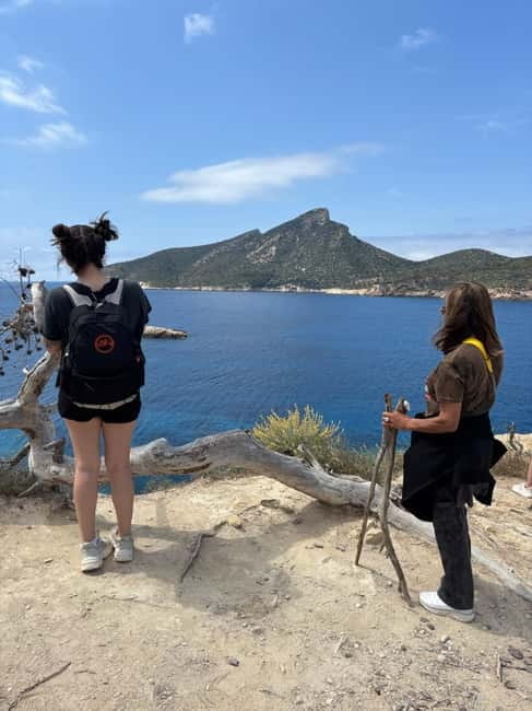 From Palma: Sierra de Tramuntana Hiking with small Picnic - The refuge picnic after about 2 hours: food with a view and goats nearby