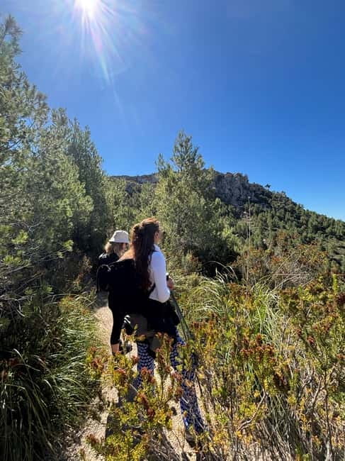 From Palma: Sierra de Tramuntana Hiking with small Picnic - Heat, route difficulty, and the swim option in summer
