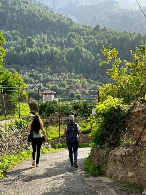 From Palma: Sierra de Tramuntana Hiking with small Picnic - Walking part of the GR221: the fun is in the details