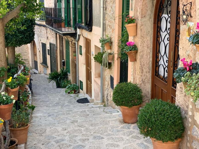 From Palma: Valldemossa Tour and Mountain Viewpoint Hike - Who This Tour Suits Best (and Who Might Want Something Different)