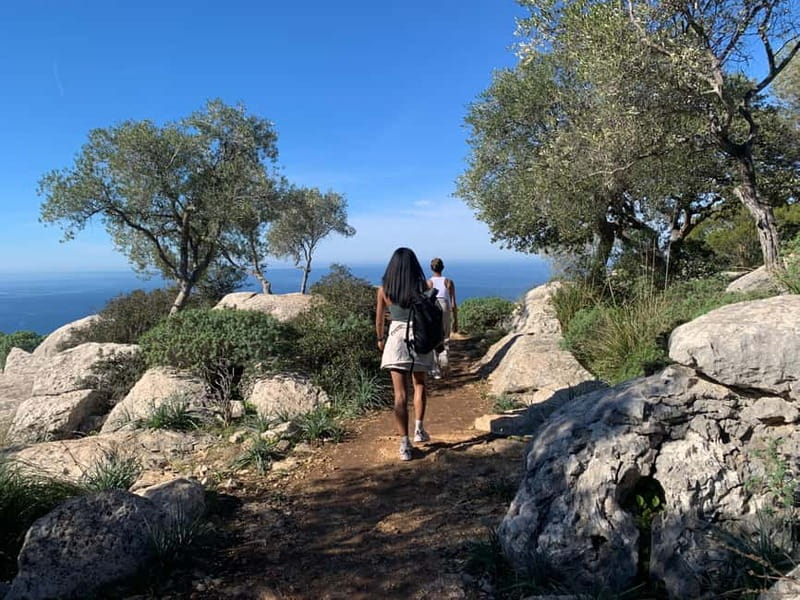 From Palma: Valldemossa Tour and Mountain Viewpoint Hike - From Palma to Valldemossa, the Point of the Whole Trip
