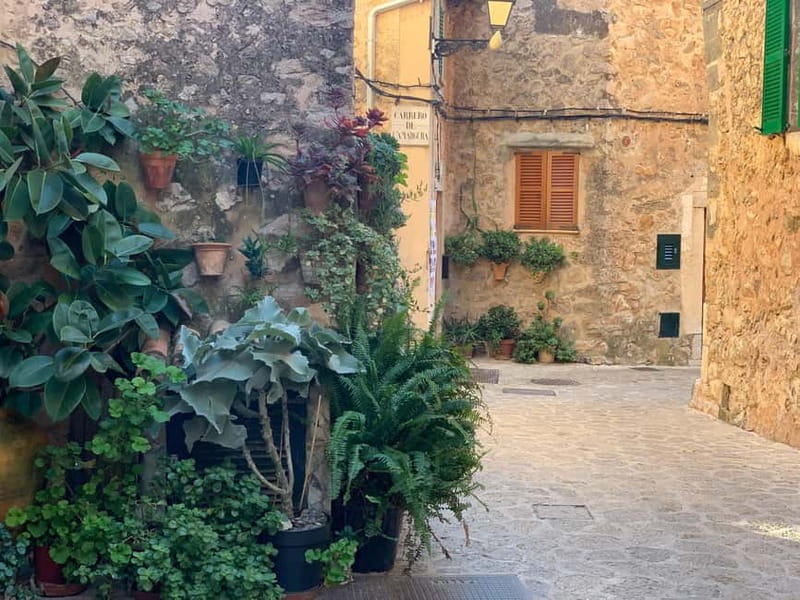 From Palma: Valldemossa Tour and Mountain Viewpoint Hike - Four Viewpoints: Why This Is the Real Reason to Book