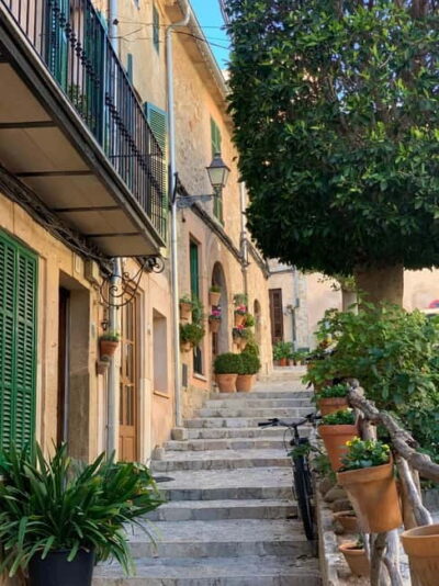 Valldemossa Tour and Mountain Viewpoint Hike