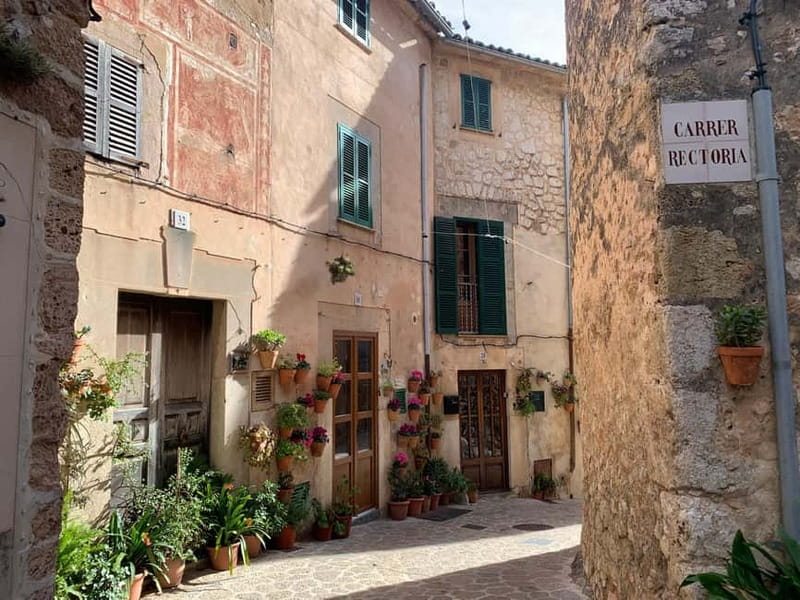 From Palma: Valldemossa Tour and Mountain Viewpoint Hike - Coca de Patata: A Simple Included Taste That Makes the Day Feel Local