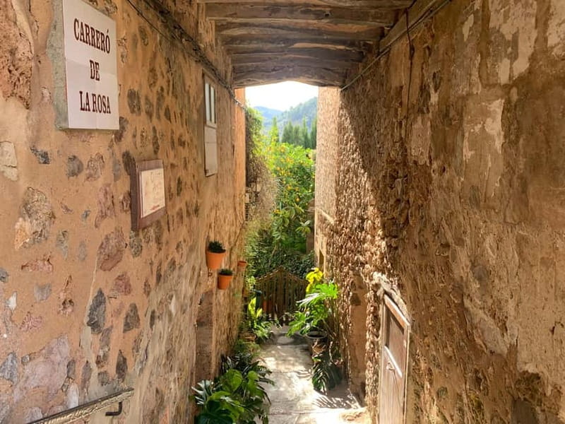 From Palma: Valldemossa Tour and Mountain Viewpoint Hike - Price and Value: Is $105 Worth It for This Mallorca Mix?