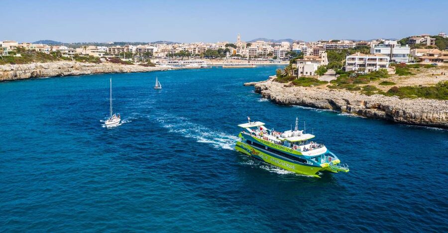 From Porto Cristo: East Coast Glass-Bottom Boat Trip - What the glass bottom is really like when you are on board