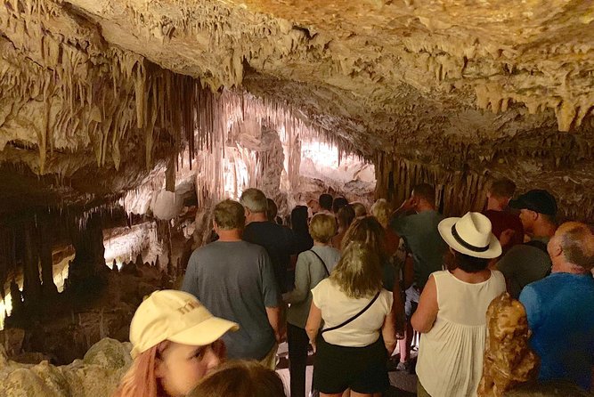 Full-Day Mallorca Caves Tour: Drach, Hams & Pearl Factory Visit - Key Highlights You Should Actually Care About