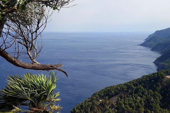 Full-Day Mallorca Caves Tour: Drach, Hams & Pearl Factory Visit - Guides, Languages, and How the Group Helps (or Irritates)