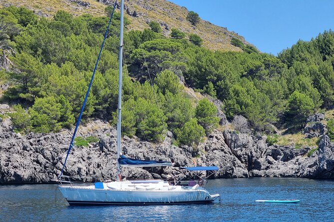 Full-day sailing excursion along the coast - Stop 1, Cala Tuent: swim, snorkel, and first-time SUP time