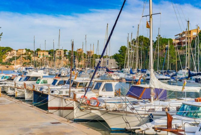 Full-day Tour to Drach Caves and Portocristo Town - Timing realities: confirm pickup, then pack smart