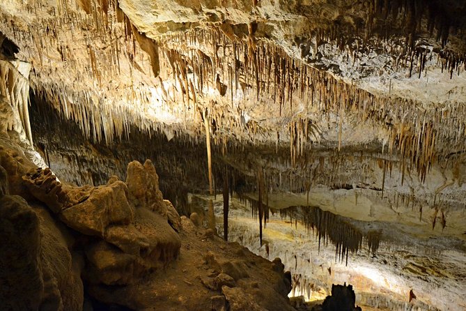 Full day tour to the Caves of Drach and Caves of Hams in Mallorca - Porto Cristo Free Time: Beach Break and Meal Options Without the Rush