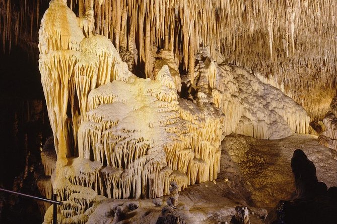 Full day tour to the Caves of Drach and Caves of Hams in Mallorca - Price and Time: What You’re Paying For and What You Can Skip