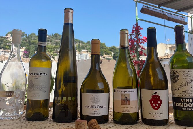 Gastronomic Wine Tasting Experience Guided by a Sommelier - Bespoke Pairings, Up To 8 People, and a Feeling Like Friends