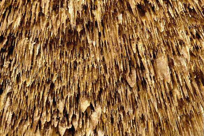 Guided Full-Day Tour of Drach Caves, Porto Cristo & Pearl Factory - The Classical Music Moment: Why It’s Included and How to Get the Most Out of It
