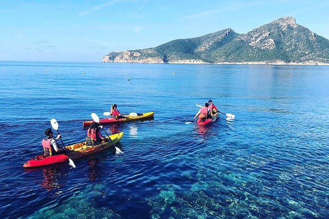 Guided Kayak & Hike from Sant Elm to Sa Dragonera - Key highlights you should care about